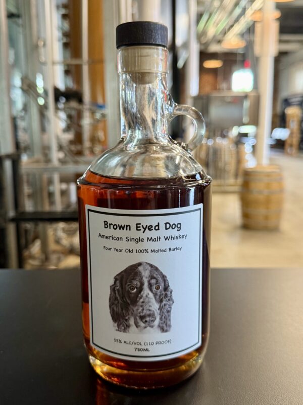 Brown eyed dog front